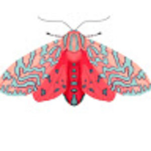 Meet your Posher, Sofia